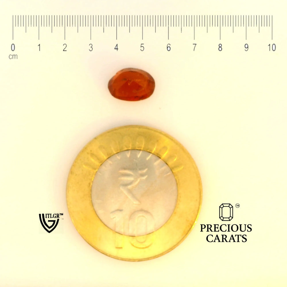 ITLGR_104201_SCALE.webp