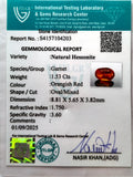 ITLGR_104203_CERTIFICATE.webp
