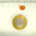 ITLGR_104204_SCALE.webp