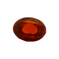 ITLGR_104209_FRONT.png