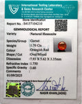 ITLGR_104210_CERTIFICATE.webp