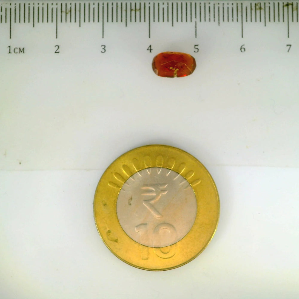 ITLGR_104211_SCALE.webp