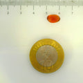 ITLGR_104212_SCALE.webp