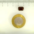 ITLGR_104218_SCALE.webp