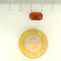 ITLGR_104221_SCALE.webp