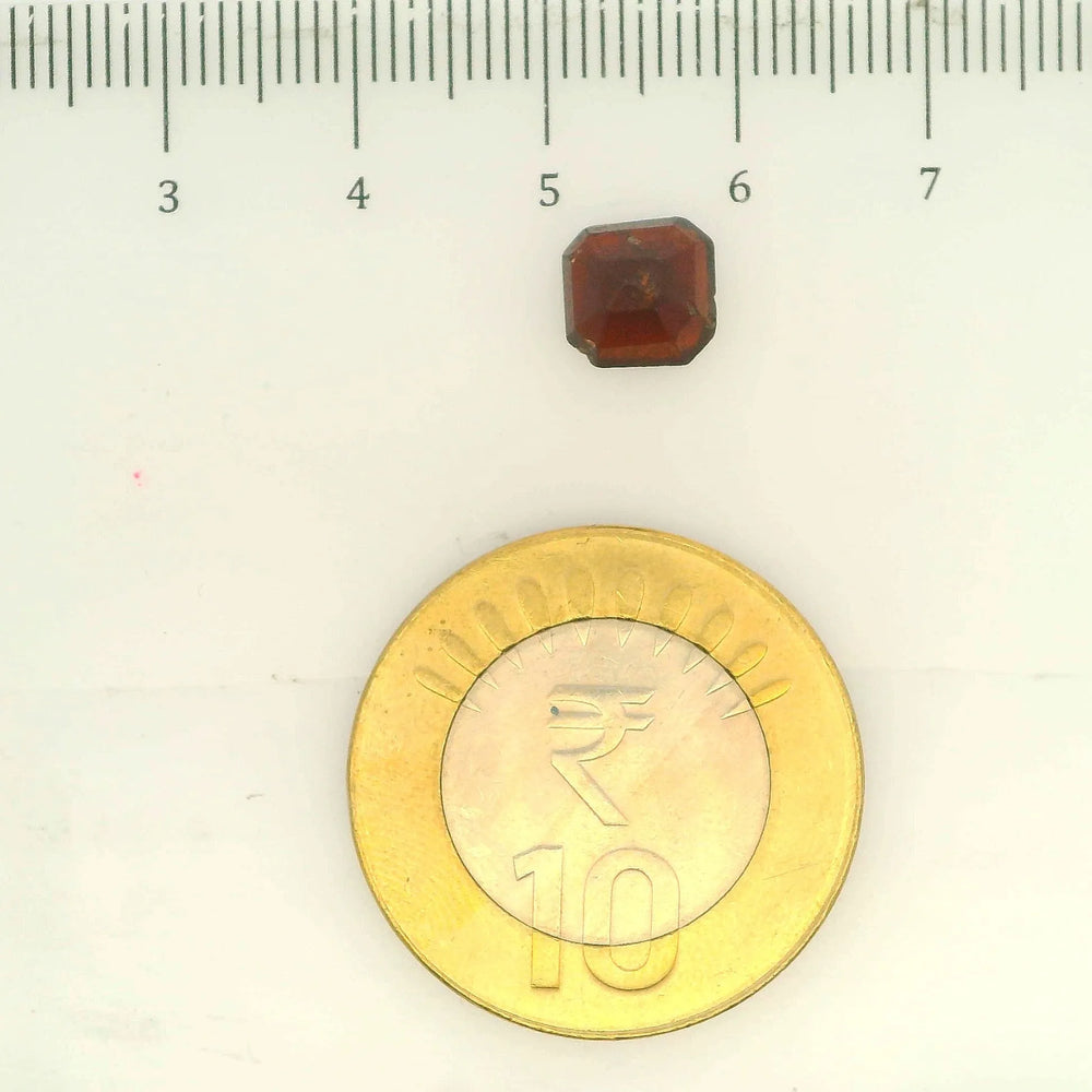 ITLGR_104222_SCALE.webp