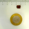 ITLGR_104228_SCALE.webp