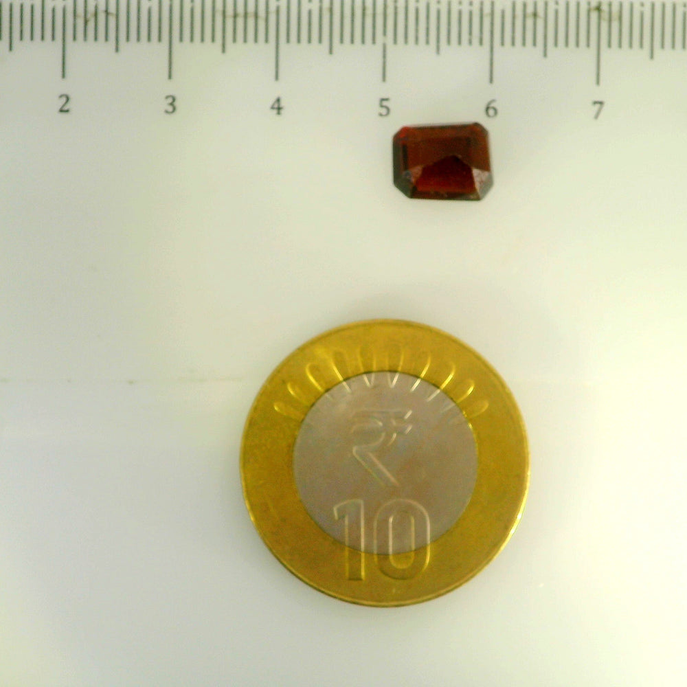 ITLGR_104228_SCALE.webp