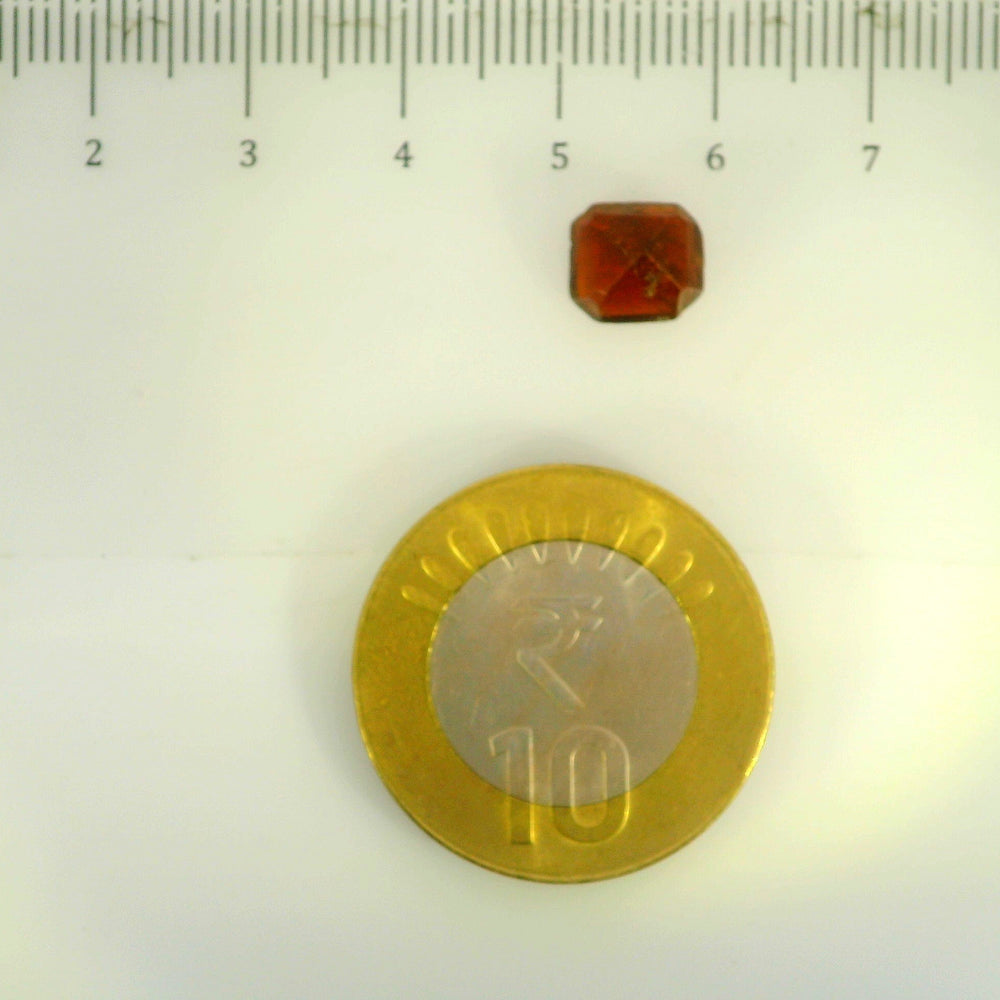 ITLGR_104230_SCALE.webp