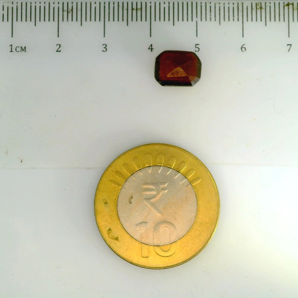 ITLGR_104232_SCALE.webp