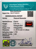 ITLGR_104233_CERTIFICATE.webp
