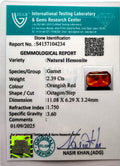 ITLGR_104234_CERTIFICATE.webp