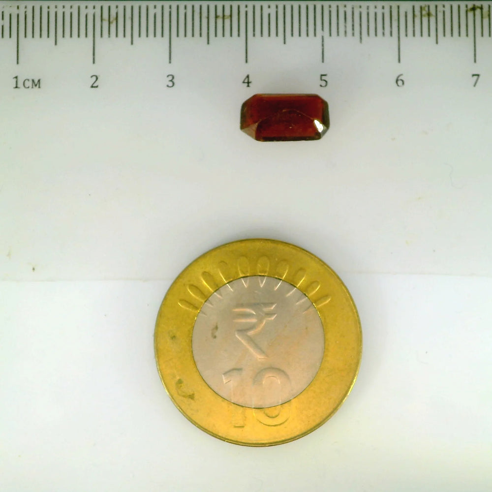 ITLGR_104238_SCALE.webp