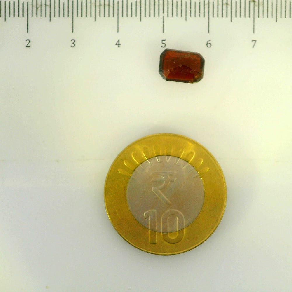 ITLGR_104239_SCALE.webp