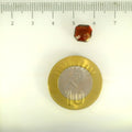 ITLGR_104242_SCALE.webp