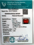 ITLGR_104243_CERTIFICATE.webp