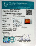 ITLGR_104251_CERTIFICATE.webp
