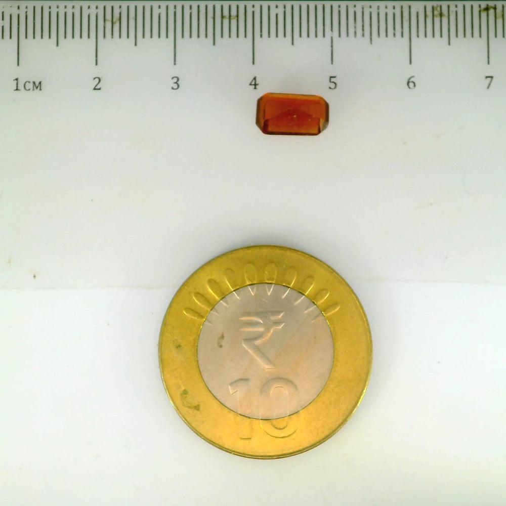 ITLGR_104254_SCALE.webp