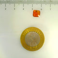 ITLGR_104255_SCALE.webp