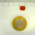 ITLGR_104256_SCALE.webp