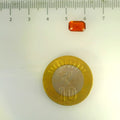 ITLGR_104258_SCALE.webp