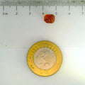 ITLGR_104261_SCALE.webp