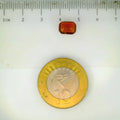 ITLGR_104262_SCALE.webp