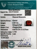 ITLGR_104264_CERTIFICATE.webp