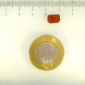 ITLGR_104265_SCALE.webp