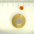 ITLGR_104266_SCALE.webp