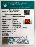 ITLGR_104270_CERTIFICATE.webp