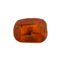 ITLGR_104272_FRONT.png