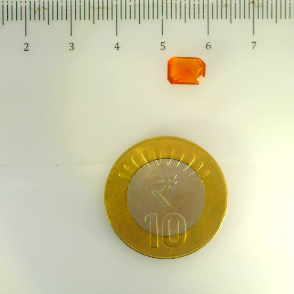 ITLGR_104273_SCALE.webp