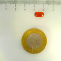 ITLGR_104275_SCALE.webp
