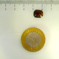 ITLGR_104279_SCALE.webp
