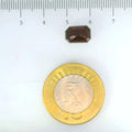 ITLGR_104281_SCALE.webp