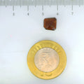 ITLGR_104285_SCALE.webp