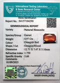 ITLGR_104290_CERTIFICATE.webp