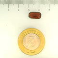 ITLGR_104292_SCALE.webp