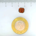 ITLGR_104295_SCALE.webp