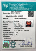 ITLGR_104296_CERTIFICATE.webp