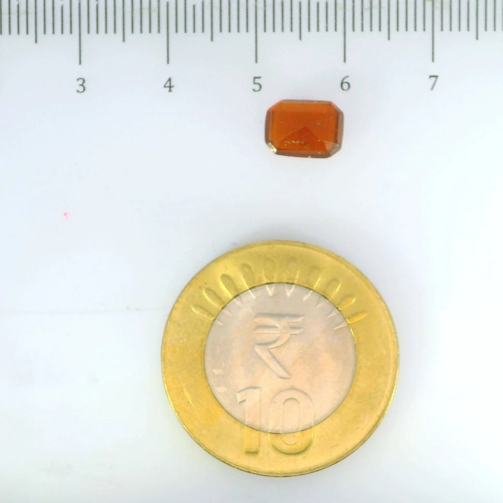 ITLGR_104296_SCALE.webp
