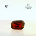 ITLGR_104300_FRONT_BG.webp