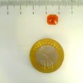 ITLGR_104301_SCALE.webp