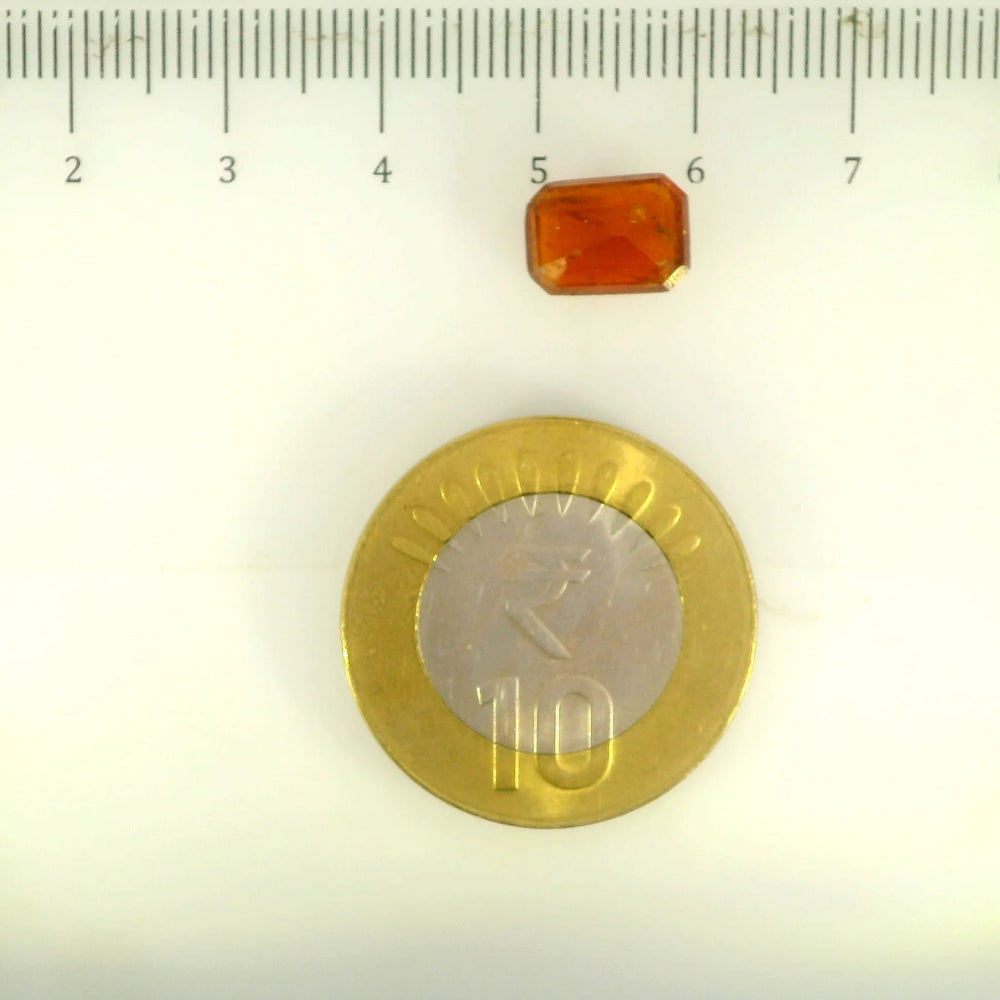 ITLGR_104303_SCALE.webp