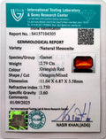 ITLGR_104305_CERTIFICATE.webp