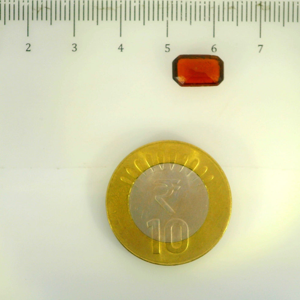 ITLGR_104305_SCALE.webp