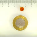 ITLGR_104311_SCALE.webp