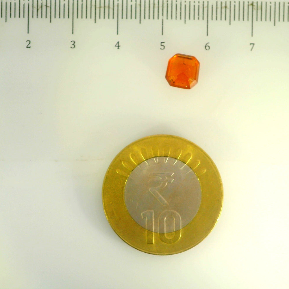 ITLGR_104314_SCALE.webp