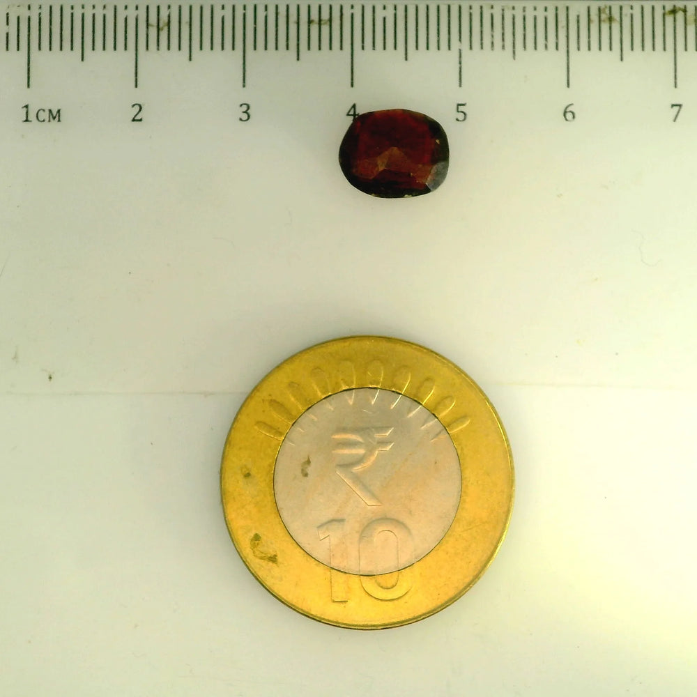ITLGR_104316_SCALE.webp